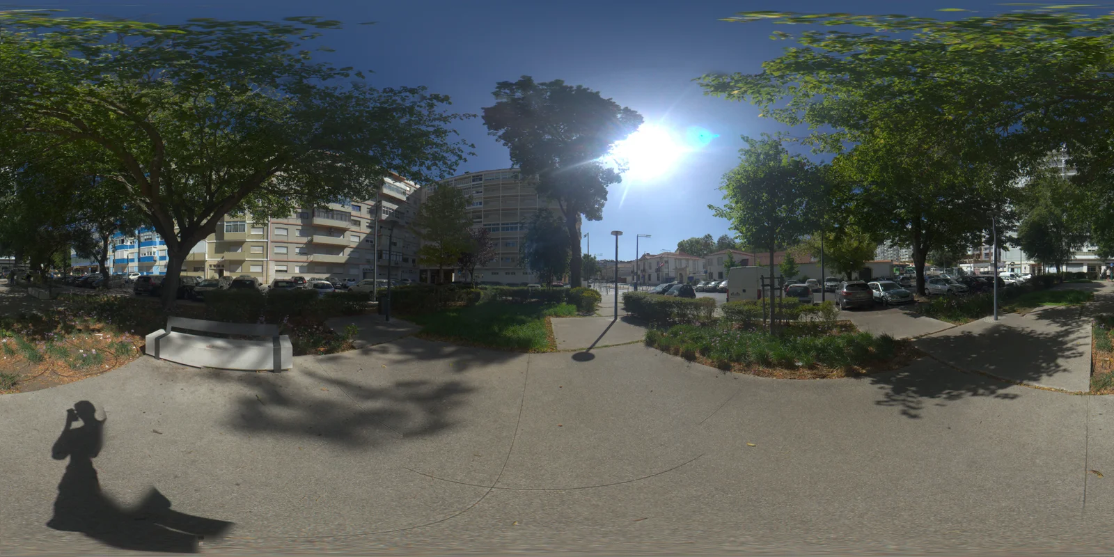 Sunlight through trees in an HDRiris capture